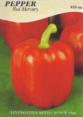 Pepper - RED BELL MERCURY