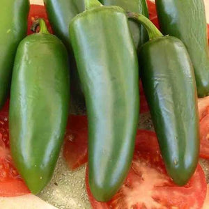 Pepper - SERRANO
