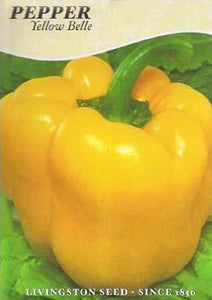Pepper Yellow