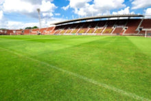Load image into Gallery viewer, A-1 COMMERCIAL CONTRACTORS GRASS SEED STADIUM