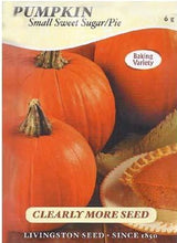 Load image into Gallery viewer, Pumpkin Small Sweet Sugar Pie