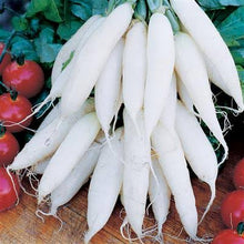 Load image into Gallery viewer, Radish - WHITE ICICLE