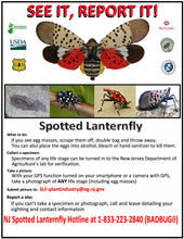 Load image into Gallery viewer, Kill Spotted Lanternfly Lanternflies