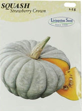 Load image into Gallery viewer, Livingston Seed - Strawberry Crown Squash