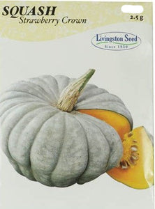 Livingston Seed - Strawberry Crown Squash