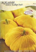Load image into Gallery viewer, Squash - YELLOW SCALLOP BUSH