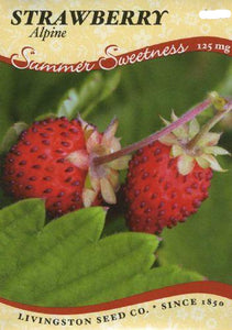 Strawberries Strawberry Alpine