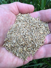 Load image into Gallery viewer, Athletic Pro Seed Mix - 50/50 Kentucky Bluegrass, Perennial Rye