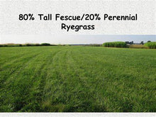 Load image into Gallery viewer, ProScape 80/20 Tall Fescue Perennial Ryegrass Seed Mix - Certified - 50 lbs