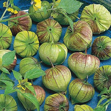 Load image into Gallery viewer, Tomatillo