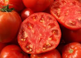 Tomato - Rutgers