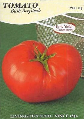 Tomato Beefsteak Bush