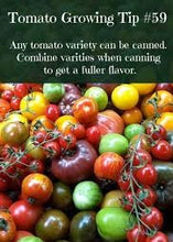 Load image into Gallery viewer, Tomato - Livingston&#39;s Very Cherry Mix