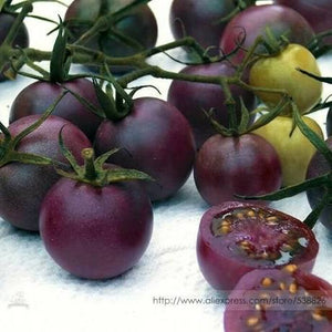 Tomato - Livingston's Very Cherry Mix