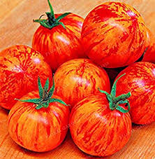 Tomato - Tigerella