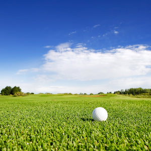 Earthworks Fertilizers golf course results