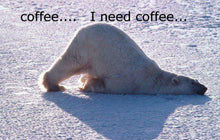 Load image into Gallery viewer, Funny meme of sleepy polar bear needing La Colombe Frogtown Coffee