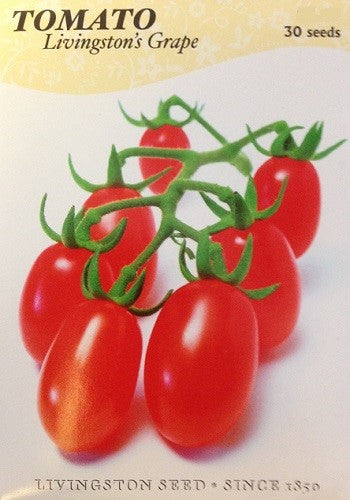 Tomato - Grape
