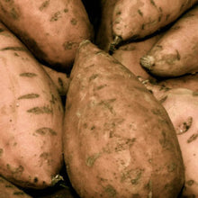 Load image into Gallery viewer, Bonnie Plants Beauregard Sweet Potato 19.3 oz