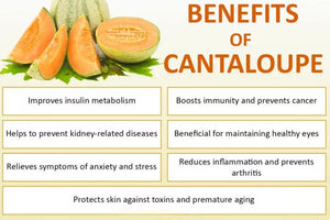 Bonnie Plants Hale’s Cantaloupe health benefits