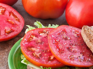 Bonnie Plants Big Beef Tomato sandwich