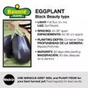 Bonnie Plants Black Beauty Eggplant directions