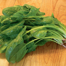 Load image into Gallery viewer, Bonnie Plants Spinach 19.3 oz
