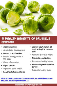 Bonnie Plants Brussels Sprouts health benefits