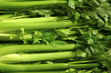 Load image into Gallery viewer, Bonnie Plants Celery 19.3 oz