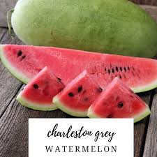 Bonnie Plants Charleston Gray Watermelon 19.3 oz