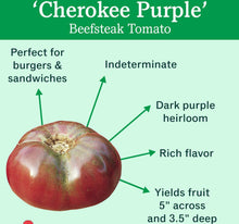 Load image into Gallery viewer, Bonnie Plants Cherokee Purple Tomato description