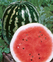 Load image into Gallery viewer, Bonnie Plants Crimson Sweet Watermelon 19.3 oz