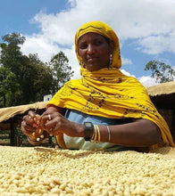 Load image into Gallery viewer, Greater Goods - Fresh Perspective - Ethiopia S.O. Coffee