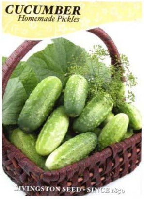 Cucumber Homemade Pickles