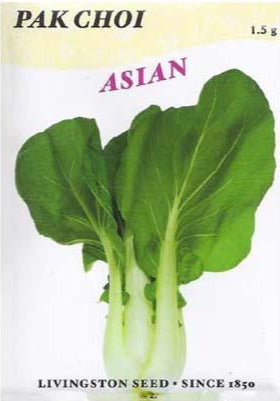 Cabbage Pak Choi 
