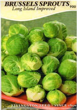 Load image into Gallery viewer, Brussel Sprouts Long Island Improved