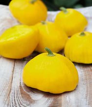 Load image into Gallery viewer, Bonnie Plants Golden Scallop Pattypan 19.3 oz