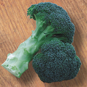 Bonnie Plants Green Magic Broccoli 19.3 oz