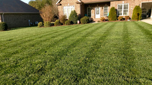 Lebanon ProScape 21-22-4 fertilizer with weed killer results