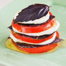 Load image into Gallery viewer, Bonnie Plants Big Beef Tomato caprese