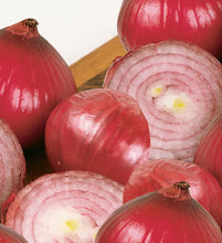 Load image into Gallery viewer, Bonnie Plants Sweet Red Onion 19.3 oz