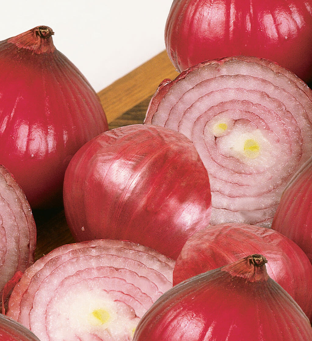 Bonnie Plants Sweet Red Onion 19.3 oz