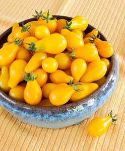 Bonnie Plants Yellow Pear Cherry Tomato 19.3 oz